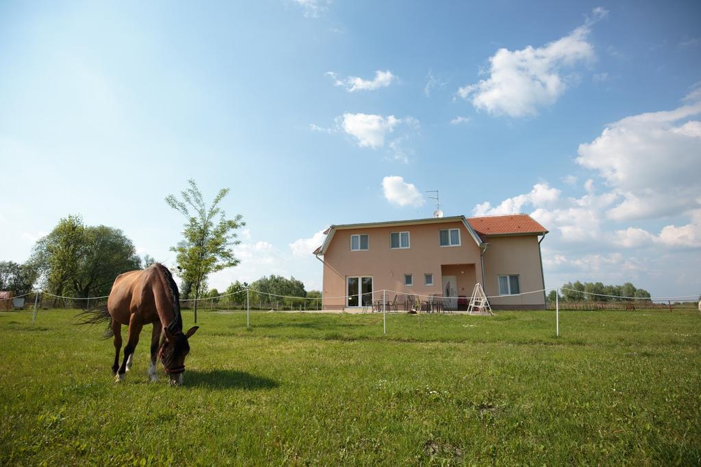 Guesthouse Capistro Bilje Eksteriør bilde